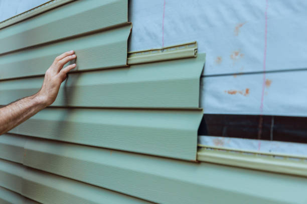 Best Stone Veneer Siding  in Inkster, MI